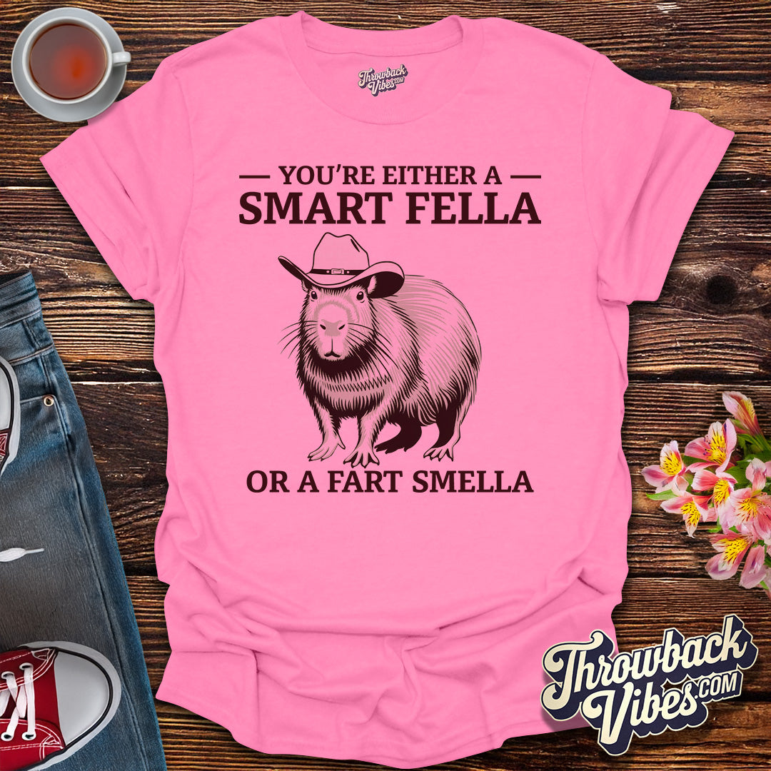 You’re Either a Smart Fella or a Fart Smella T-Shirt - Throwbackvibes 