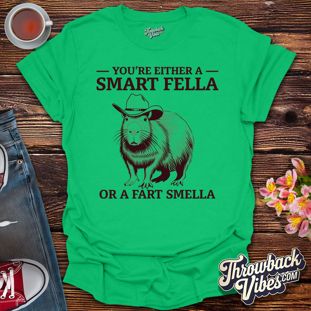 You’re Either a Smart Fella or a Fart Smella T-Shirt - Throwbackvibes 