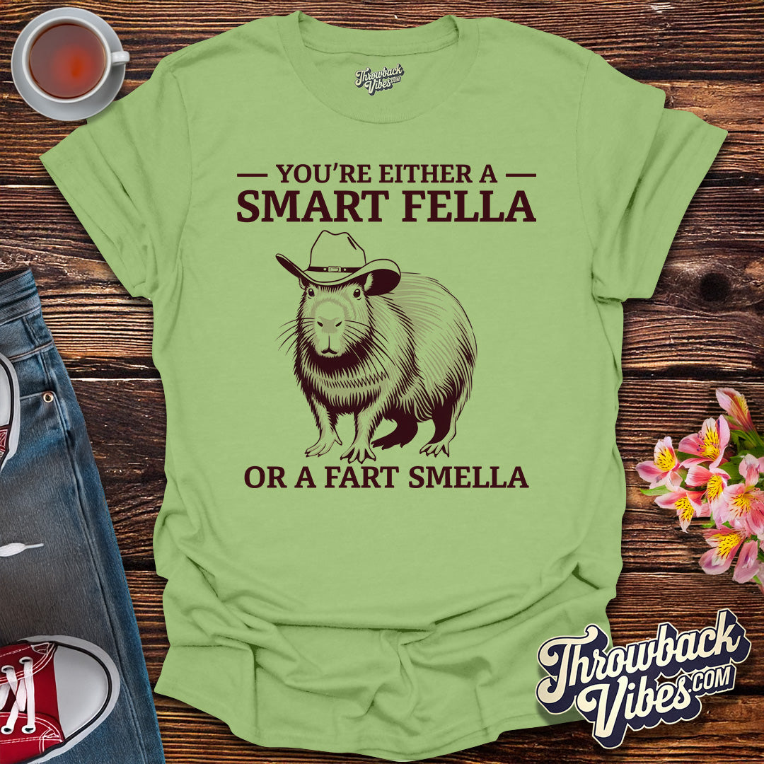 You’re Either a Smart Fella or a Fart Smella T-Shirt - Throwbackvibes 