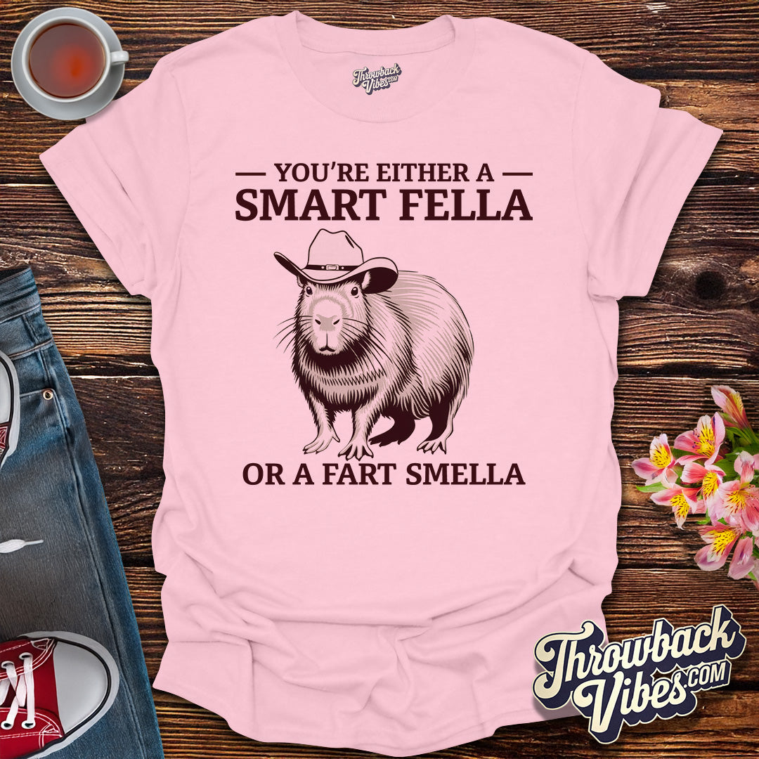 You’re Either a Smart Fella or a Fart Smella T-Shirt - Throwbackvibes 