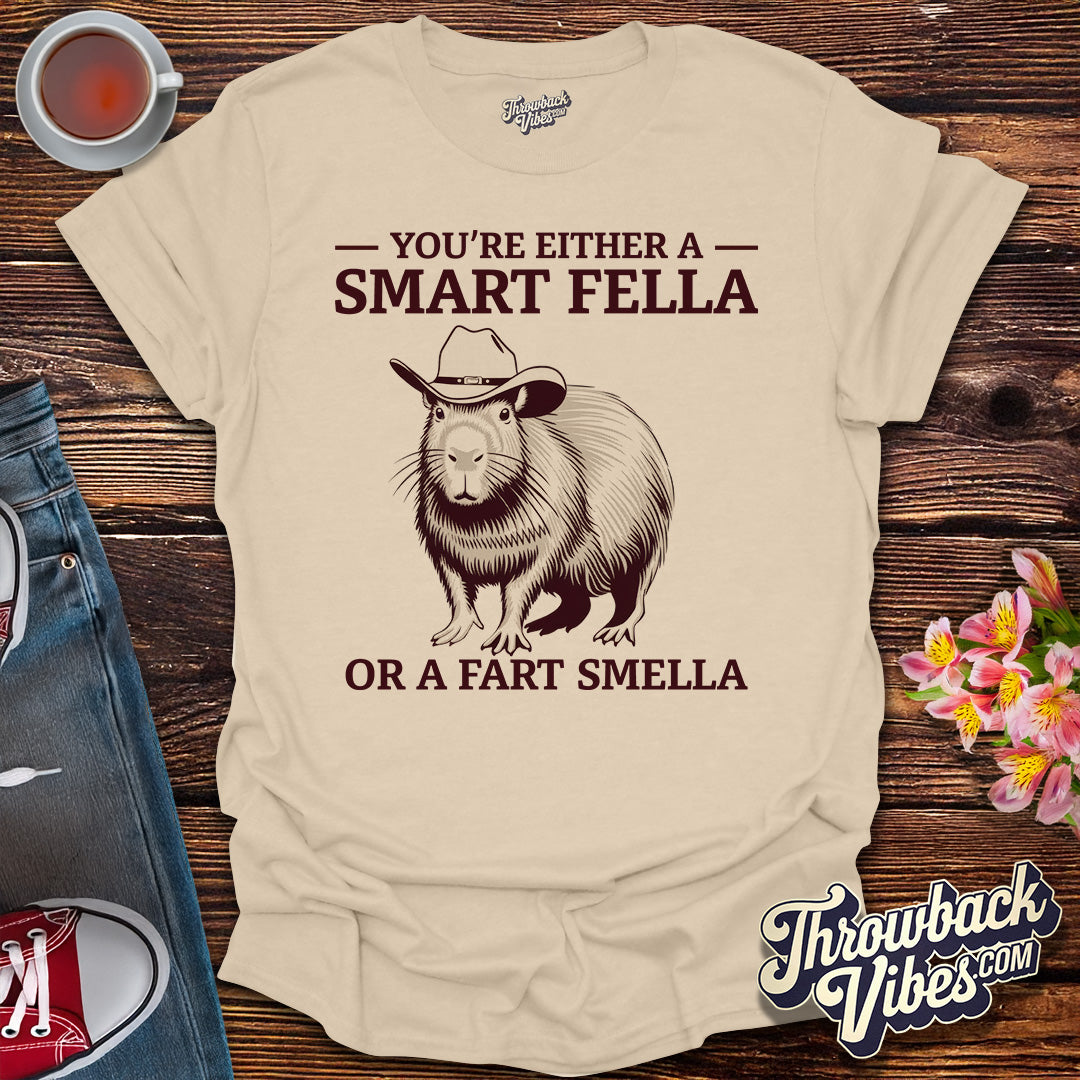You’re Either a Smart Fella or a Fart Smella T-Shirt - Throwbackvibes 