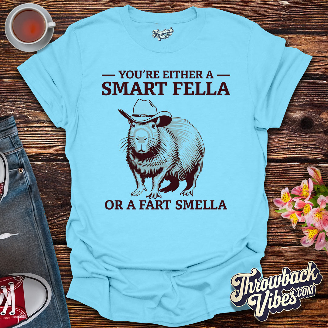 You’re Either a Smart Fella or a Fart Smella T-Shirt - Throwbackvibes 